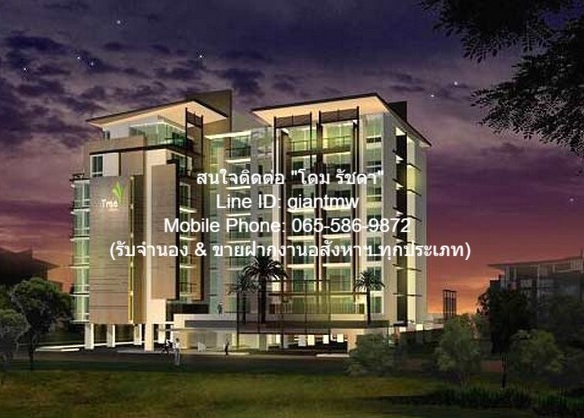 ให้เช่าด่วน คอนโด. Tree Condo Sukhumvit 52 สภาพเยี่ยม