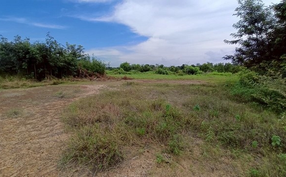 ขายที่ดินวางเปล่า ถนนสายอำเภอบรบือ-บ้านแก้งน้อย อำเภอบรบือ มหาสารคาม