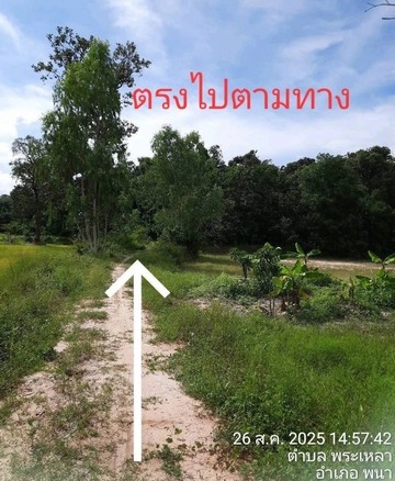 ขายที่ดินอำเภอพนา จังหวัดอำนาจเจริญ เนื้อที่ 7 ไร่ 3 งาน 28 ตารางวา