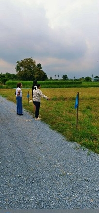 ที่ดิน – 390000 บ. 100 ตารางวา 0 ngan 0 Rai ใกล้ องค์พระปฐมเจดีย์ สวนป่าน เซเว่น ซีเจ ทำเลน่าอยู่ พรีโอน ใกล้องค์พระปฐมฯ น้ำไฟเข้าถึง ถนนหินคลุก