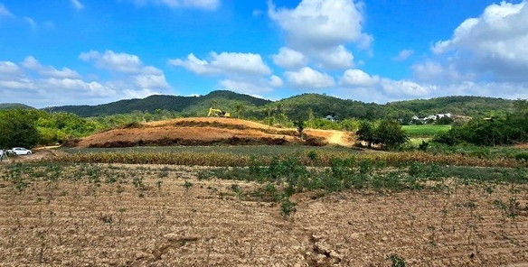 พื้นที่ดิน – สภาพเยี่ยม นครราชสีมา