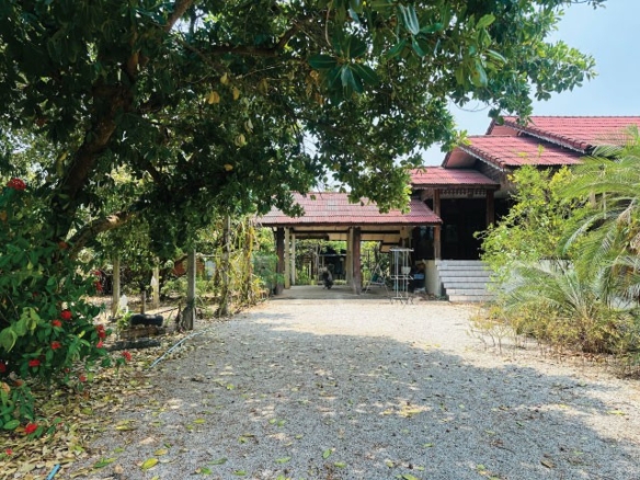บ้านพร้อมที่ดิน ติดถนนหลัก ราคาถูกมาก เดินทางสะดวก เนื้อที่ 1 ไร่ 130 ตรว ต.ม่วงน้อย อ.ป่าซาง จ.ลำพูน