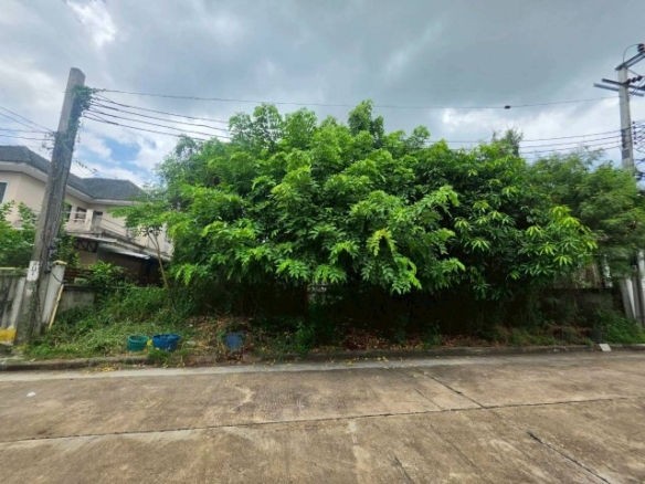 sss552 ขาย ที่ดินเปล่า หมู่บ้าน กฤษดากร 18 ถนนพุทธมณฑลสาย 3