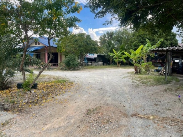 ขายที่ดินพร้อมสิ่งปลูกสร้าง บ้านเดี่ยว แปลงสวย ทำเลดี ใกล้ถนนข้าวหลาม FP-L02059